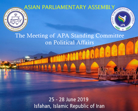  The Meeting of APA Standing Committee on Political Affairs 2019